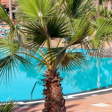 아파트 Fuerteventura Tamarindo 1 *